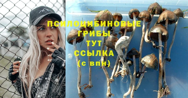 a pvp Абинск