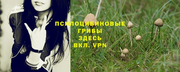 дживик Осташков